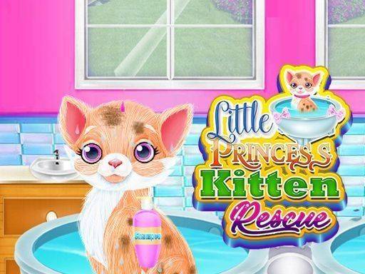 Princess Pet Care & Styling Quest