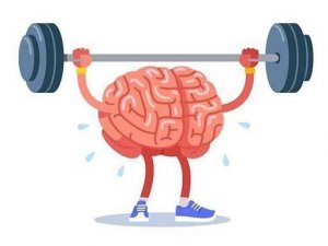 Clever Mind Logic Puzzles