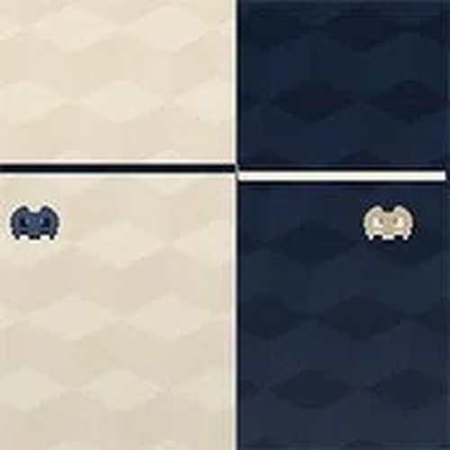 Super Flipside Dual Ship Challenge