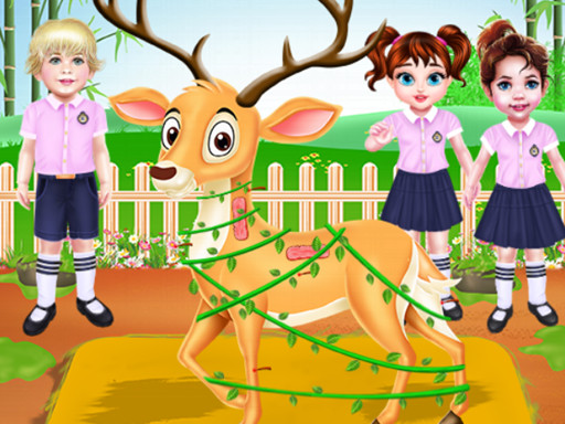 Taylor's Animal Care Adventure