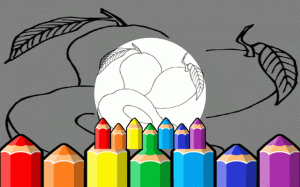 Amazing Fruit Pictures For Kids - Free Coloring Book Game
