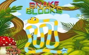 Snake Blocks Puzzle Challenge