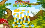 Snake Blocks Logic Puzzle