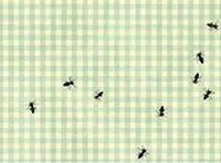 Bug Destroyer Reflex Game Online Arcade Game
