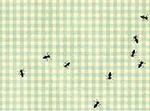 Bug Catcher Reflex Game